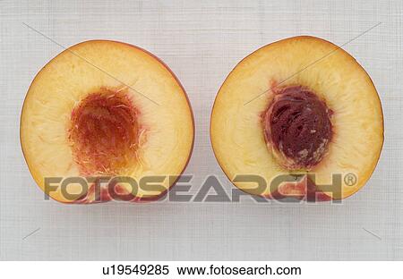 Stock Photography - Apricot Halves. Fotosearch