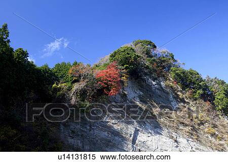 Autumnal Trees on Hill Lake Kameyama View Large Photo Image Stock Photography - Autumnal Trees on Hill Lake Kameyama. Fotosearch
