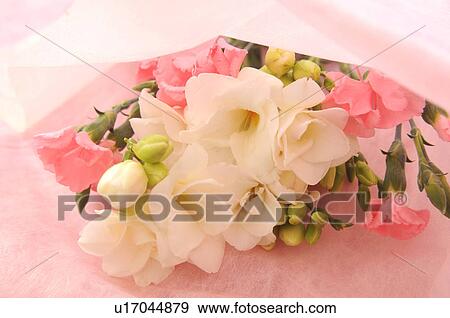 Stock Photo - Bunch of flowers. Fotosearch