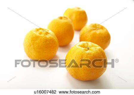 Stock Image - Chinese Honey Orange. Fotosearch
