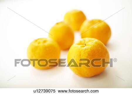 Chinese Honey Orange View Large Photo Image Stock Photography - Chinese Honey Orange. Fotosearch