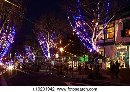 Stock Image - Christmas Lights on Treelined Street. Fotosearch
