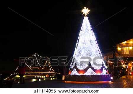 Stock Photography - Christmas Tree at Harbour. Fotosearch