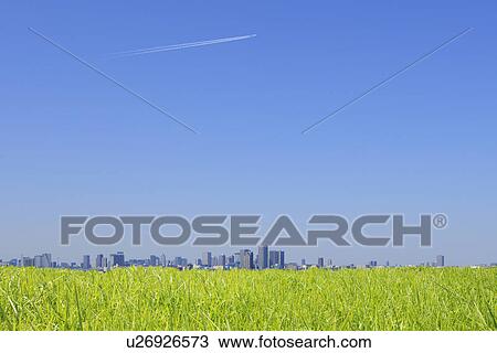 Cityscape of Tokyo and grass, Tokyo Prefecture, Honshu, Japan View Large Photo Image Stock Image - Cityscape of Tokyo and grass, Tokyo Prefecture, Honshu, Japan. Fotosearch