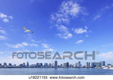 Stock Photography - Cityscape of Tokyo, Shinagawa Ward, Koto Ward, Tokyo Prefecture, Honshu, Japan. Fotosearch