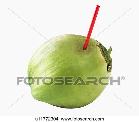 Coconut with a straw View Large Photo Image Picture - Coconut with a straw. Fotosearch