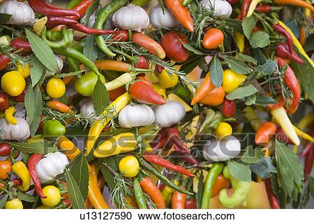 Colorful Vegetables and Herbs View Large Photo Image Stock Image - Colorful Vegetables and Herbs. Fotosearch
