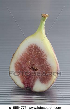 Cross Section of Fig View Large Photo Image Stock Photography - Cross Section of Fig. Fotosearch