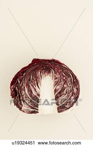 Stock Image - Cross Section of Italian Chicory. Fotosearch