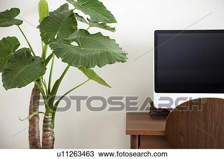 Stock Image - Desk and Houseplant. Fotosearch