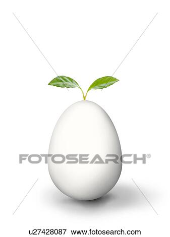 Egg and young leaves View Large Photo Image Stock Photo - Egg and young leaves. Fotosearch