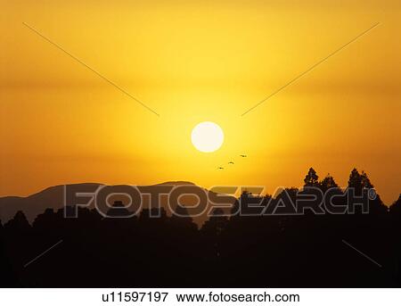 Stock Photo - Forest and mountain at dusk, Kumamoto Prefecture, Kyushu, Japan. Fotosearch