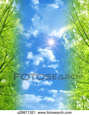 Stock Image - Forest and Sky, Digital Composite. Fotosearch