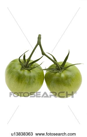 Stock Image - Green Tomatoes. Fotosearch