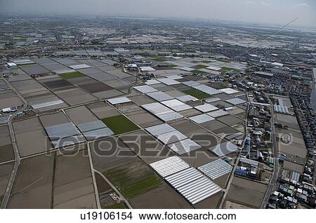 Picture - Greenhouses and Fields, Aerial view. Fotosearch