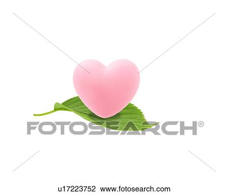 Stock Image - Heart on leaf, Digital composite. Fotosearch
