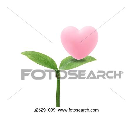 Stock Photo - Heart on top of sapling, Digital composite. Fotosearch