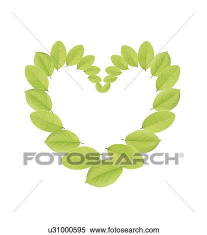 Stock Photography - Heat shaped leaves, digital composite. Fotosearch