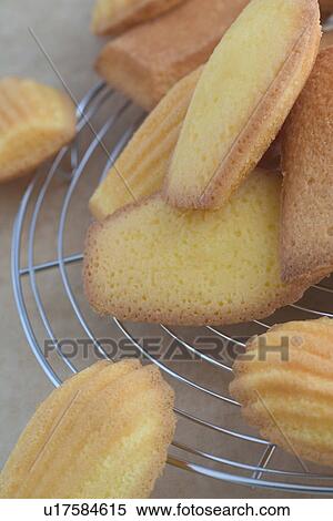 Stock Photography - Madeleine Cookies. Fotosearch