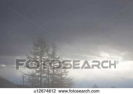 Stock Image - Mt. Kita-Yatsugatake and Yokodake Trees of silver frost. Fotosearch