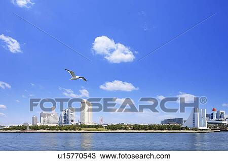 Odaiba, Tokyo Prefecture, Honshu, Japan View Large Photo Image Stock Image - Odaiba, Tokyo Prefecture, Honshu, Japan. Fotosearch