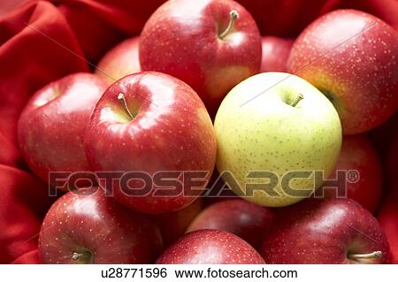 One green apple in red apples View Large Photo Image Stock Photograph - One green apple in red apples. Fotosearch