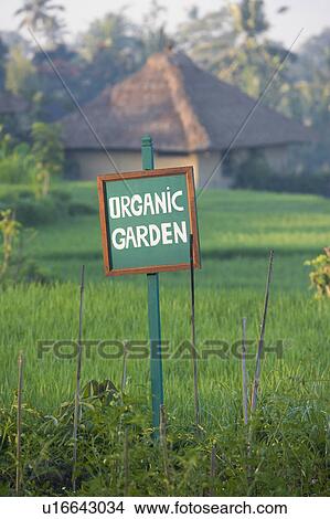 Picture - Organic Garden. Fotosearch
