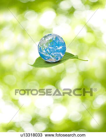 Planet earth on leaf, Digital Composite View Large Photo Image Stock Image - Planet earth on leaf, Digital Composite. Fotosearch