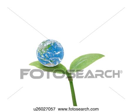 Stock Photo - Planet earth on sapling, Digital Composite. Fotosearch