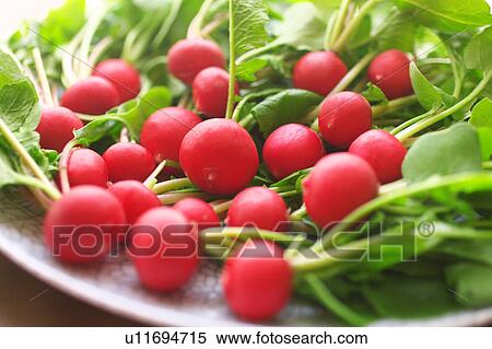 Stock Photography - Radishes. Fotosearch