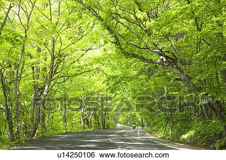 Stock Photograph - Rural Road. Fotosearch