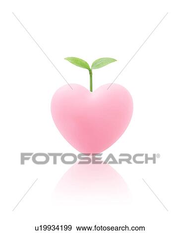Sapling growing from heart, Digital composite View Large Photo Image Stock Photo - Sapling growing from heart, Digital composite. Fotosearch