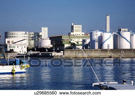 Seagulls at Nagata Harbor View Large Photo Image Stock Image - Seagulls at Nagata Harbor. Fotosearch