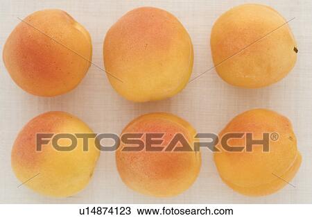 Six Apricots View Large Photo Image Stock Image - Six Apricots. Fotosearch