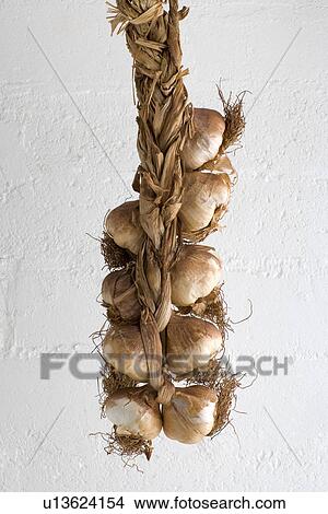 Smoked Garlic View Large Photo Image Picture - Smoked Garlic. Fotosearch