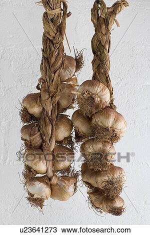 Smoked Garlic View Large Photo Image Stock Image - Smoked Garlic. Fotosearch