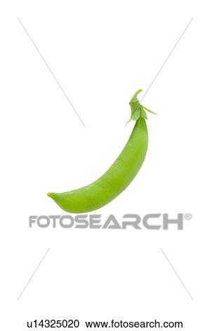 Stock Image - Snap pea. Fotosearch
