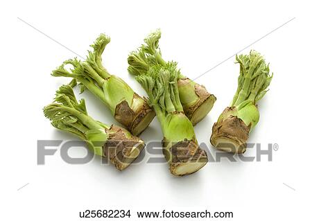 Picture - Taranome. Fotosearch