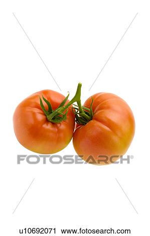 Stock Image - Tomatoes. Fotosearch