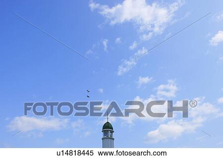 Two black kites flying, Yokohama, Kanagawa Prefecture, Honshu, Japan View Large Photo Image Stock Photography - Two black kites flying, Yokohama, Kanagawa Prefecture, Honshu, Japan. Fotosearch