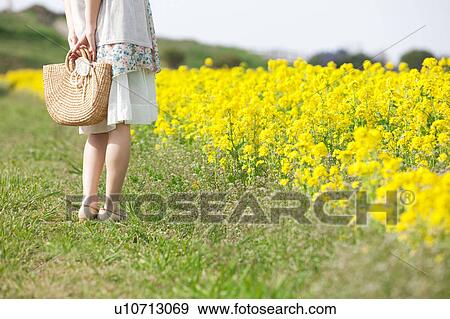 Stock Photo - Young woman standing next to oilseed rape field. Fotosearch