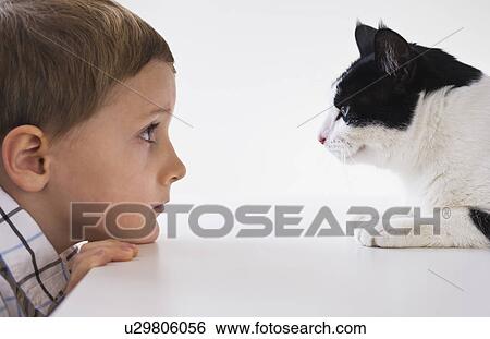 Stock Photograph - Boy (4-5) and cat looking at each other face to face. Fotosearch