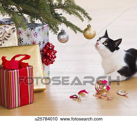 Stock Image - Cat breaking Christmas ornaments. Fotosearch