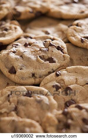 Chocolate cookies View Large Photo Image Stock Image - Chocolate cookies. Fotosearch