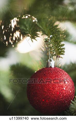 Stock Image - Christmas bauble on tree. Fotosearch