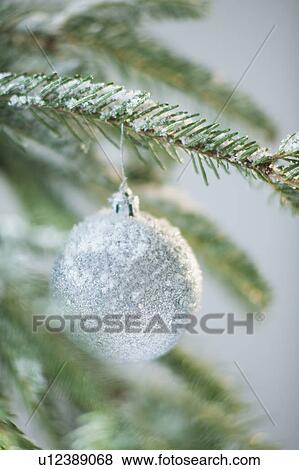 Christmas bauble on tree View Large Photo Image Stock Photo - Christmas bauble on tree. Fotosearch