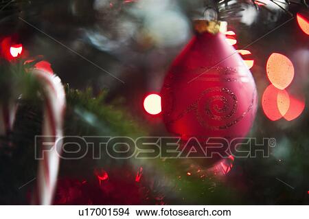 Christmas decoration hanging on Christmas tree, studio shot View Large Photo Image Picture - Christmas decoration hanging on Christmas tree, studio shot. Fotosearch