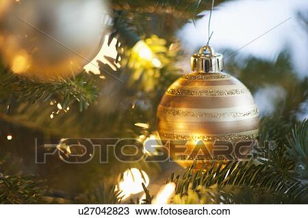 Christmas decoration hanging on Christmas tree, studio shot View Large Photo Image Stock Image - Christmas decoration hanging on Christmas tree, studio shot. Fotosearch