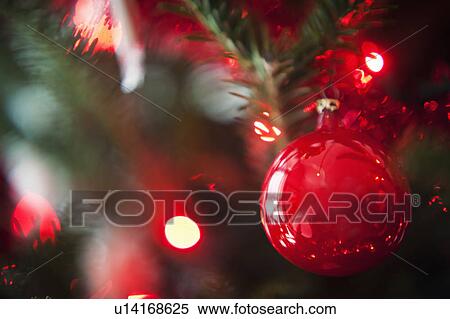 Christmas decoration hanging on Christmas tree, studio shot View Large Photo Image Stock Photography - Christmas decoration hanging on Christmas tree, studio shot. Fotosearch