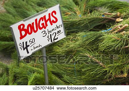 Christmas tree branches for sale View Large Photo Image Picture - Christmas tree branches for sale. Fotosearch